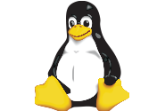 Linux Server Management Services